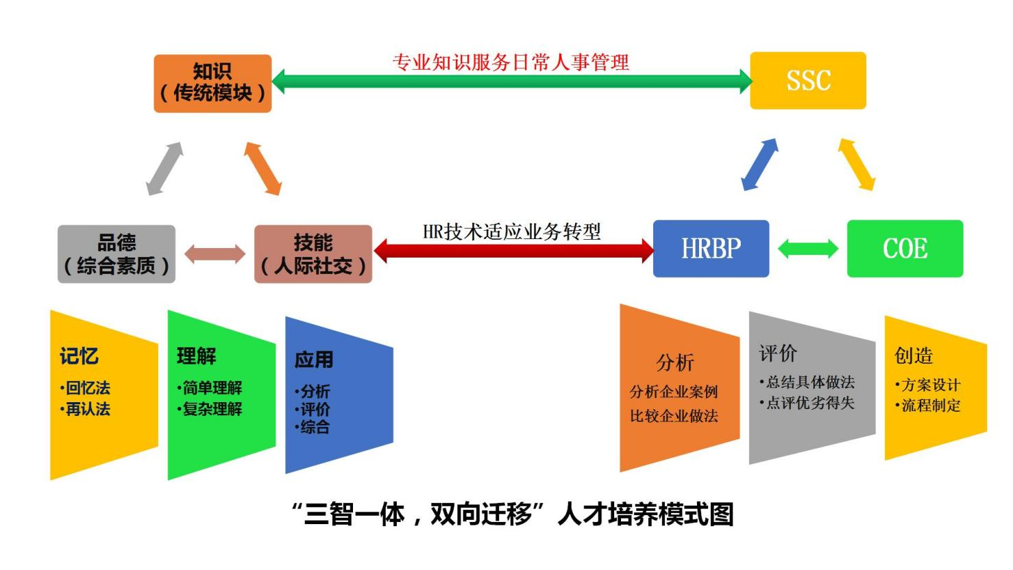 人力资源管理专业