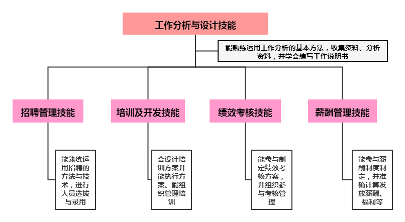 人力资源管理专业