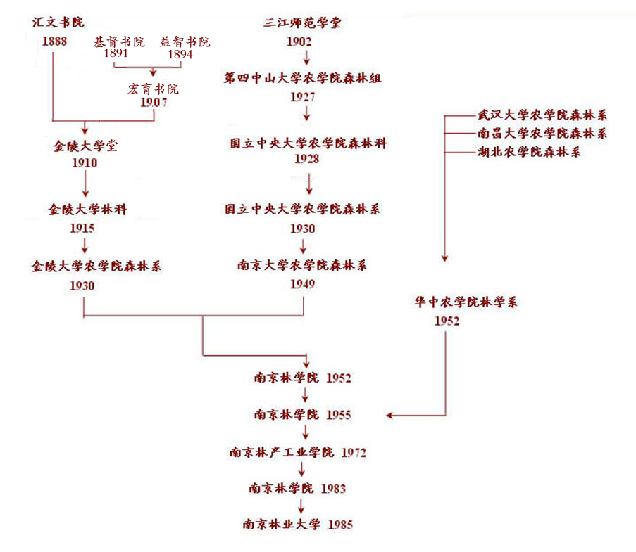 南京林业大学历史沿革.jpg